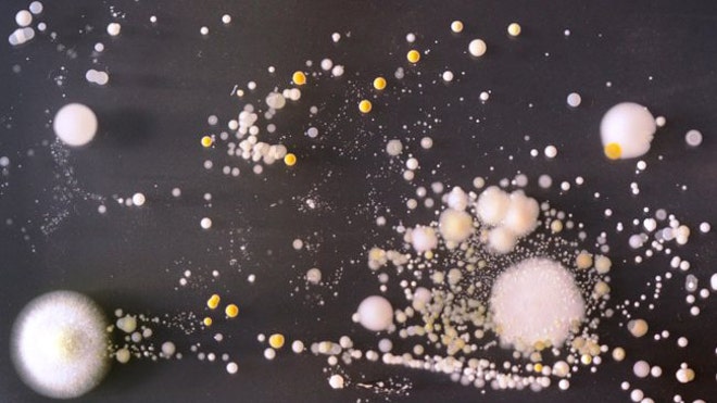 smartphone bacteria 2.jpg